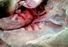 حذاء المومياء المُكتشف في منطقة ألتاي الجبلية بمنغوليا