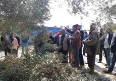 الإغاثة الزراعية تُدرّب المزارعين على طرق حديثة في تقليّم أشجار الزيتون