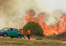 حرائق في غلاف غزة