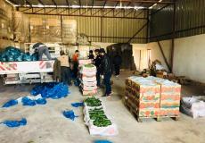 الزراعة تنفذ جولات على محطات فرز وتعبئة الخضار