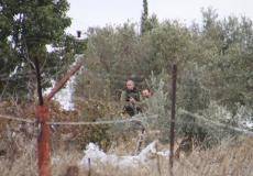 الاحتلال يطلق النار على شبان في بلدة تقوع دون إصابات