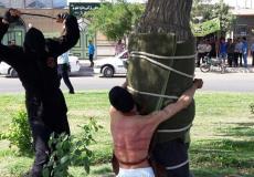 عقاب الجلد