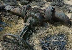 تأهيل تربة الكويت بعد الغزو العراقي