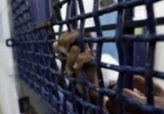 3 أسرى يواصلون إضرابهم المفتوح عن الطعام وسط تدهور وضعهم الصحي