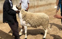 موعد عيد الاضحى المبارك 2020