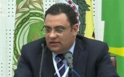 السفير محمود عفيفي