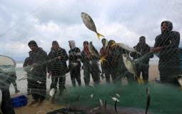 زراعة غزة تكشف كمية الأسماك التي تم اصطيادها بعد المنخفض الأخير
