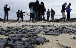 كارثة القطران على شواطئ إسرائيل