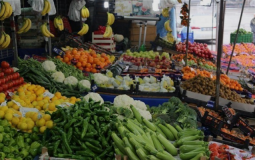 خضروات في أسواق غزة