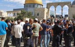 اقتحام المستوطنين للمسجد الأقصى بحماية الاحتلال - ارشيف