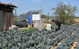 العمل الزراعي يقدم زيارات ارشادية للمزارعين في المناطق مقيدة الوصول