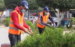 بلدية غزة تبدأ بتنفيذ مشروع لزيادة المساحات الخضراء وتقليم الأشجار