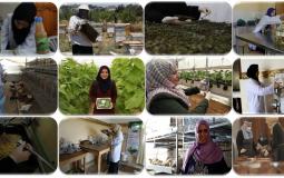 المشاريع النسوية الزراعية