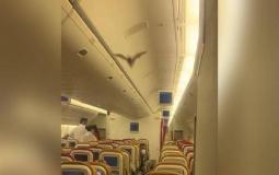خفاش في طائرة هندية