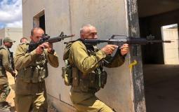 وحدة النحلة الاسرائيلية