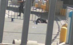 الجيش الاسرائيلي يطلق النار على فتاة على حاجز قلنديا