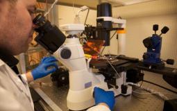 مختبر بحث علمي