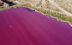 بحيرة في الأرجنتين تتحول إلى اللون الوردي بسبب غير طبيعي