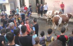 عيد الأضحى في غزة- تعبيرية