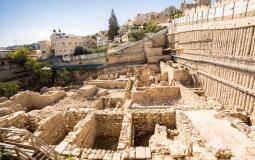حفريات أسنان سمك قرش في القدس تعود لـ 2900 عام