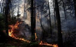 حرائق في غابات تركيا