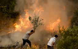 حرائق تركيا