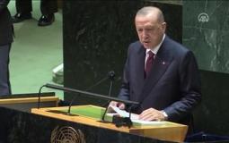 أردوغان: يجب ألا نسمح بتحول مجازر غزة إلى حرب إقليمية