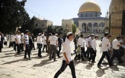انتهاكات الاحتلال الاسرائيلي للمسجد الاقصى