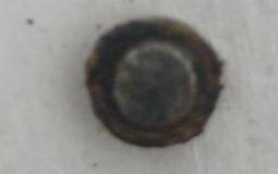 الجسم الغريب