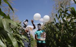 فلسطينيون يطلقون بالونات تحمل صور الأسرى الفارين من سجن جلبوع