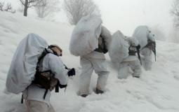 وحدة جبال الألب الاسرائيلية