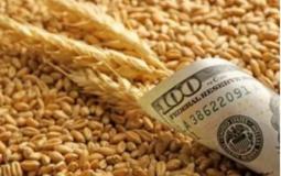 أسعار القمح العالمي - توضيحية