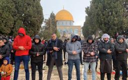 فلسطينيون يصلون في رحاب المسجد الأقصى - توضيحية