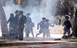 الاحتلال يطلق قنابل الغاز في المسجد الأقصى