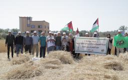 العمل الزراعي في غزة يواصل أنشطته التطوعية
