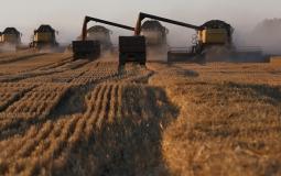 إسرائيل تبحث استيراد القمح من كازاخستان