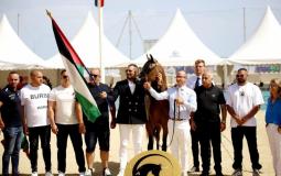 مربط الشيخ يفوز في بطولة منتون لجمال الخيل العربية الأصيلة