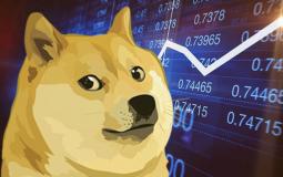 عملة دجكوين الرقمية