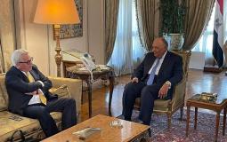 وزير الخارجية المصري يستقبل المبعوث الأممي لعملية السلام في الشرق الأوسط