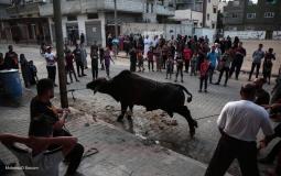أجواء أول أيام العيد وذبح الأضاحي في قطاع غزة