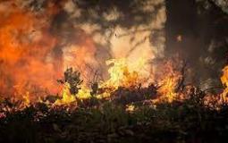 اخماد حرائق الغابات في روسيا