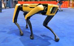 الكلب الروبوت