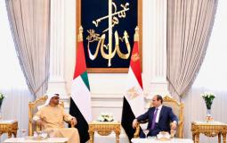 الرئيس المصري ونظيره الإماراتي يؤكدان على أهمية وحدة الصف العربي