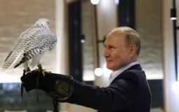 صقر يحط على ذراع بوتين
