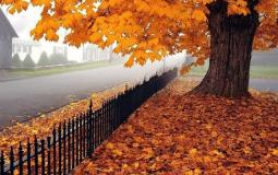 طقس فلسطين: أجواء غائمة جزئيا ولا تغير يذكر على درجات الحرارة