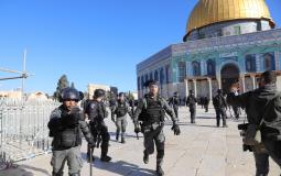 انتهاكات الاحتلال في المسجد الأقصى - ارشيف