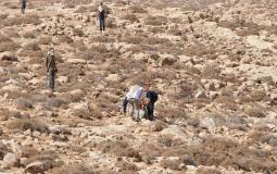 مستوطنون يطعنون متضامنة أجنبية بسكين في بيت لحم