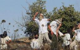 مستوطنون يهاجمون المزارعين في نابلس