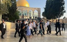 اقتحام مجموعات كبيرة من الإسرائيليين للمسجد الأقصى
