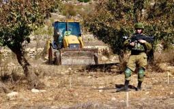 قوات الاحتلال تقطع الأشجار في بيت لحم/ أرشيفية
